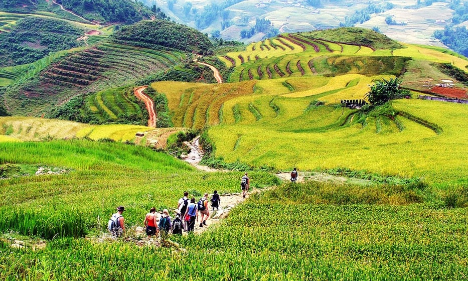 du lịch